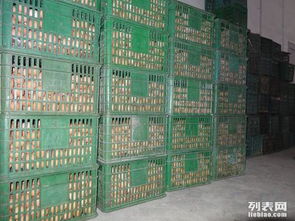 一萬立方雞蛋保鮮冷庫造價與建設工程施工詳解